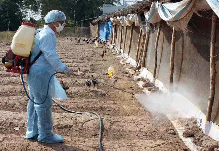 Bộ Y tế thông tin về ca mắc cúm A/H5N1 dẫn đến tử vong