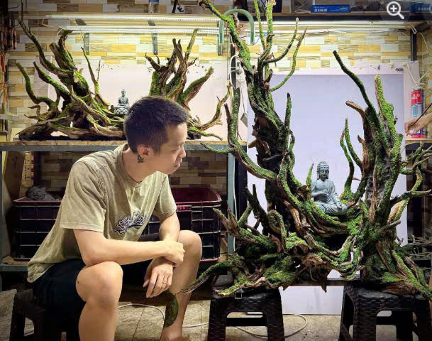 Bạch Nhật Phi - Founder của Bạch Phi Aquascape