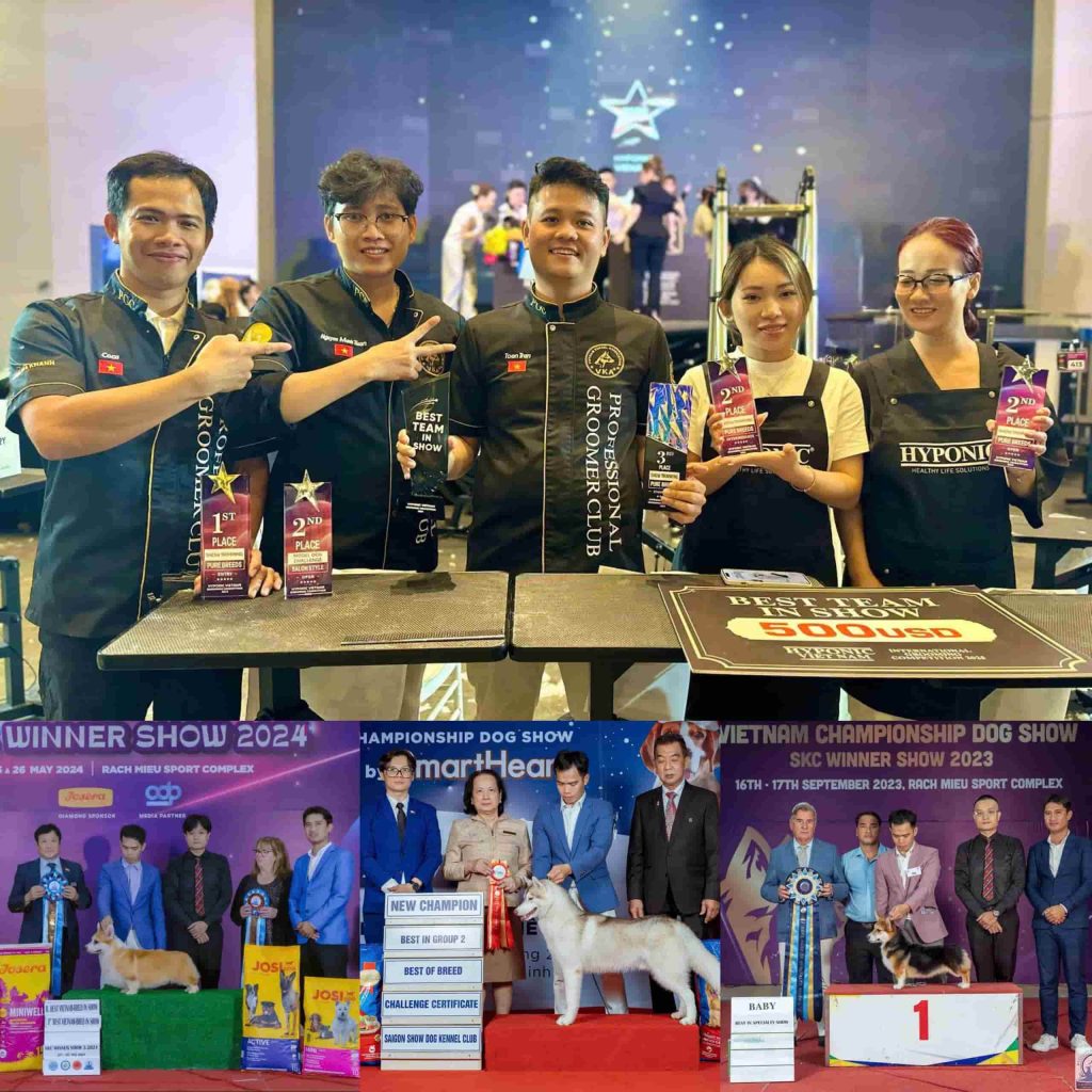 Nhờ sự kiên trì và nỗ lực, Groomer Co Ca đạt đạt được nhiều thành tích đáng tự hào