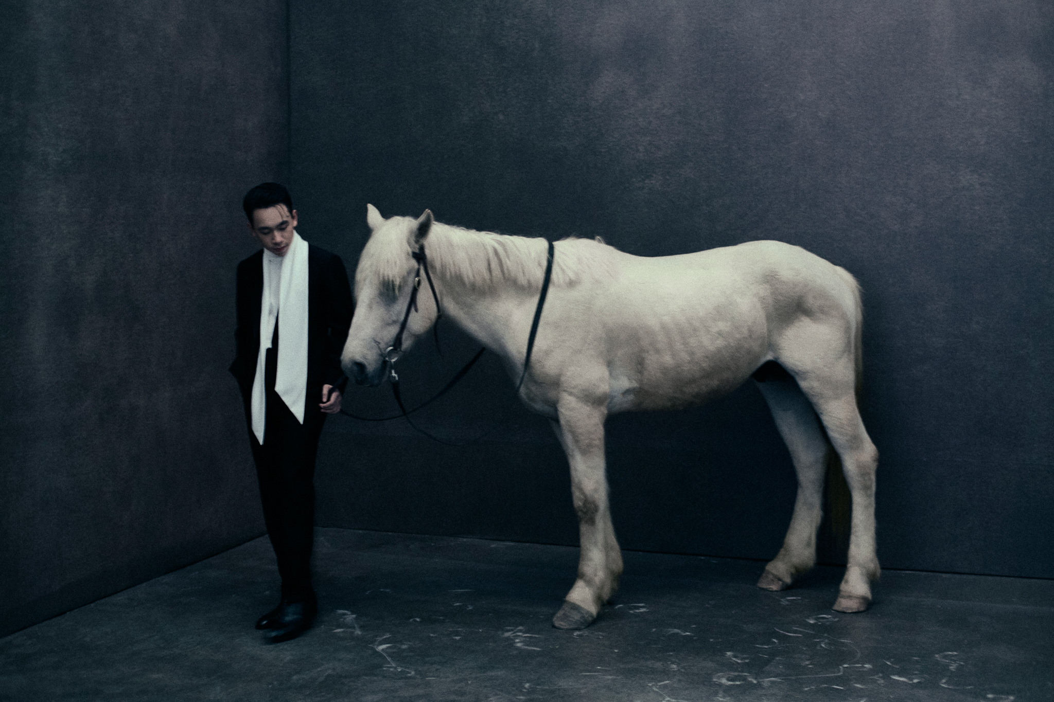 Á hậu Phương Nhi