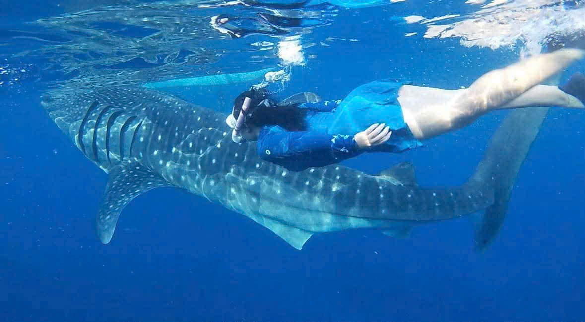 Phương pháp dạy bơi cá nhân hóa đầy tâm huyết được HLV Khấu Cao Minh dày công nghiên cứu